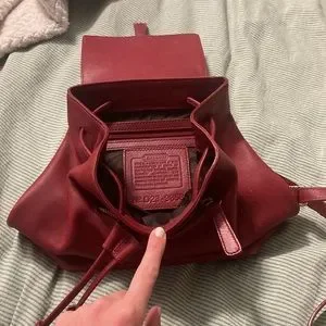 Coach | Bags | Coach 9858 Series Leather Small Backpack  display picture 3